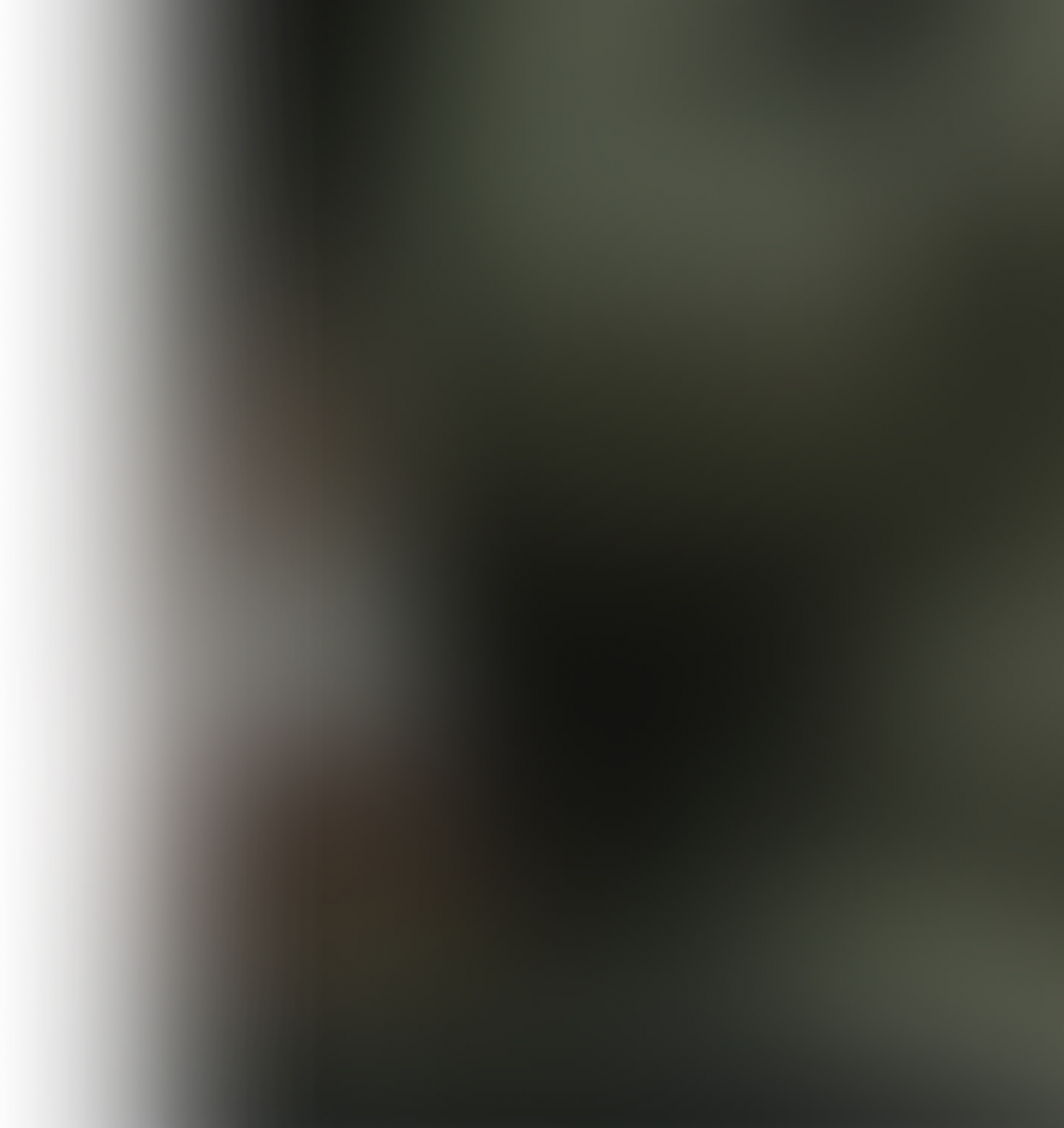 languages illustration bg