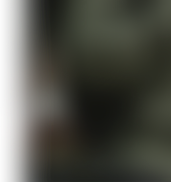 languages illustration bg